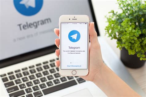 software.professionaldigital.online telegram|profesiondigital.online Reviews .